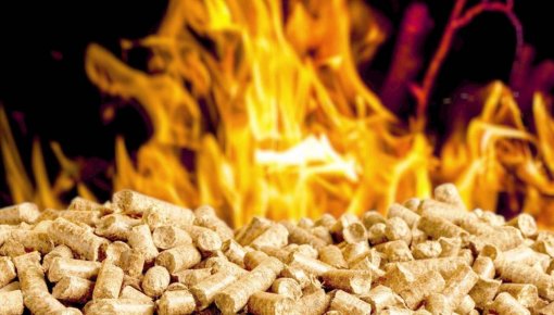 ����� �����: � ������ � ������ �������� ������������ ����������