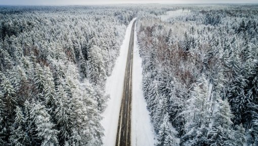 � �������� ���������: ������� � ���� ��������� �������� ���������� �� ���� ������