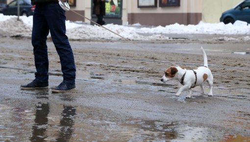 �����! �� ��������� ������ ����������� ���������