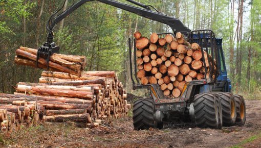 ��������� ����: ��� ��������� �������� � ����������������� ������������!�