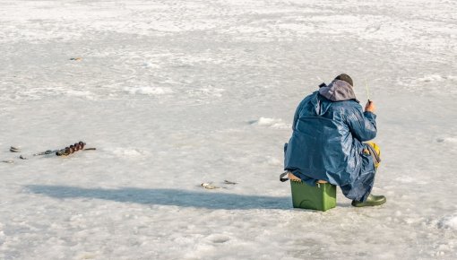 ������ ��������� ���� �� �����: ����� �������������� ����, ������� � ������� �������