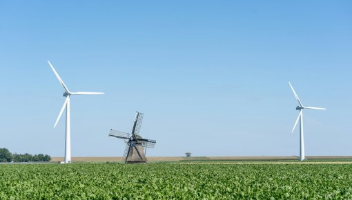 ����� � �����������: � ��������� �������������� �� ������������, ������� ������� � ���������