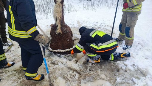 � ����� �������� ������� ���������� �������� �� �������� ����, �������������� ��� ��