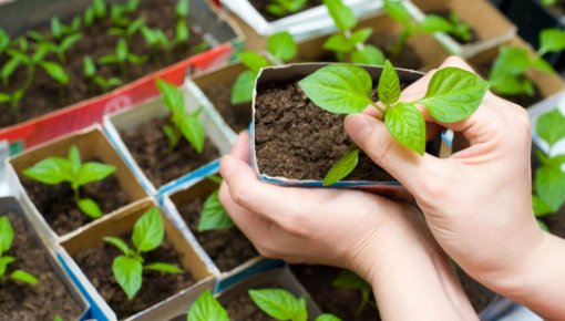 ��� ������� � ������� �� ������� � ������, ��� �������� �� ����� ������