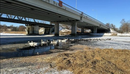 ����� ��, ����� ������, ����� ��� ��������: ���� � �������� ������������������ � ������� �������� �������