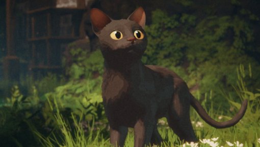 ���������� �����������: ������ ���������� ������ ����� � TOP-10