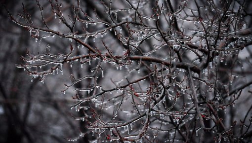 � �� �����, ������ ������ ������� ��� � ����� � ����?