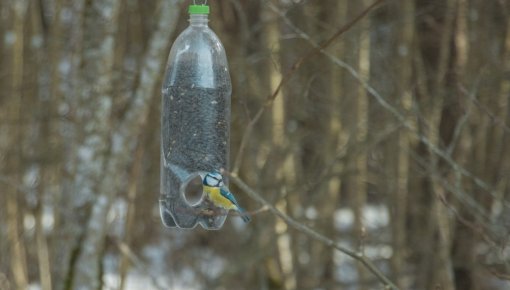 ���������: ������ ������ � �����, ����� � ��������