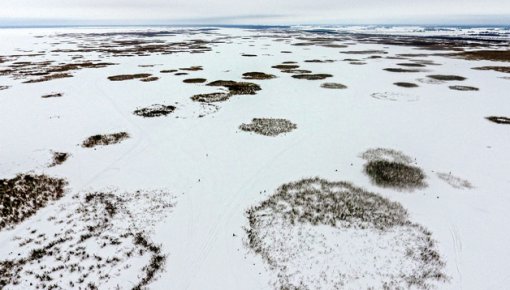 ���������� ������ ������� �������������: �������� ������� �� ���� � ���������� ����� ���������