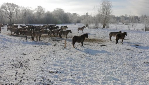 �� ����� ���������: ������ ����� ��� ����� ������� � ������ ������������ ��������