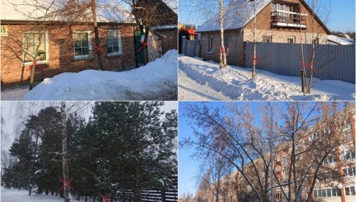 �� ������������ ���������� �������� ������� �������� �� ���� ������