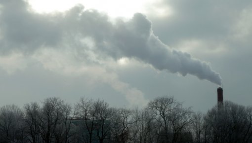 ����, ��� ����� ���� �����������: ��������� ����� �� ����� � ���� ��������� ��������� ���� � 50%