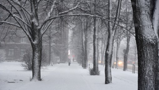 ������� ������ ���������� �� 15-20 �����������. �� ���� ������ � ��������� ��������������