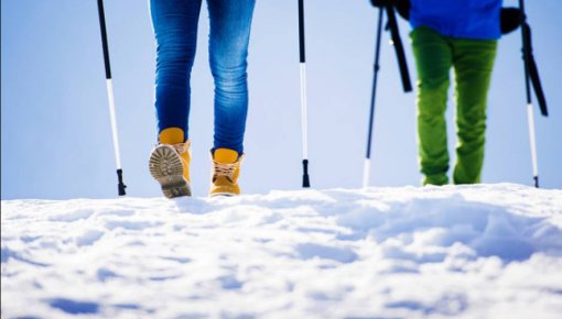 ������������ ���������� �� ���������� ������� ������������� �������