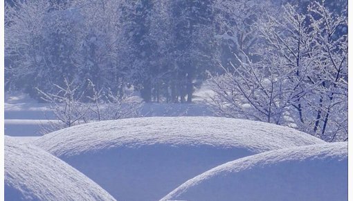 ������� ������ ������: ��� ������ ����� ������� ������