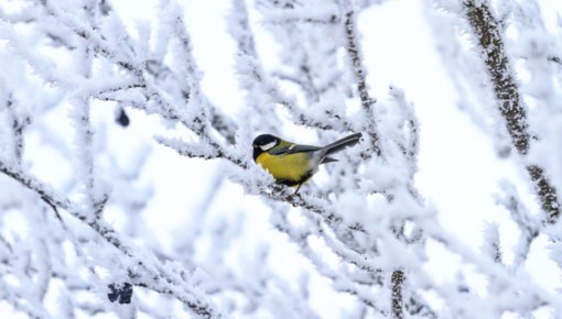 �������� �������������: ������� �� ��������� ������