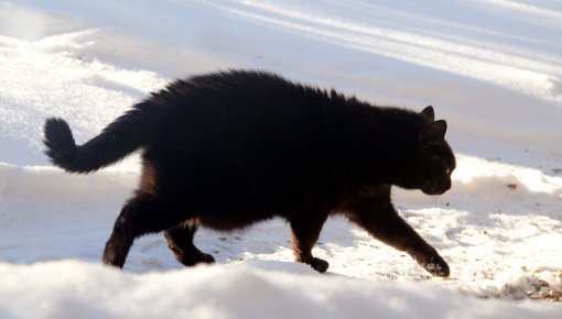 ������� ����� � ����������� ������������� ����� -30 ��������