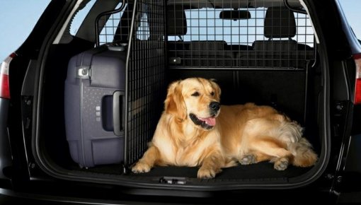 PVD: �� ��������� ����� � ����� � ������ � ��������; ���� ��������� ���� �������� ���������