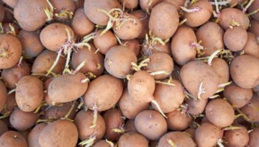 ������ �� ����� ������: ��� ��������� ����������� ��������� � �������