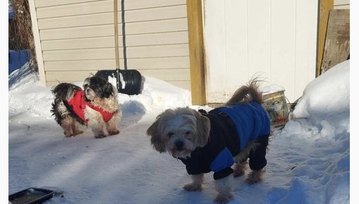 ������� �� ���������� ������: ��� �� ������ ���� ��� � ����� �����