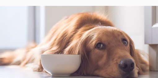 ����� ������� ��������� ������������� �� �������� ������ ������