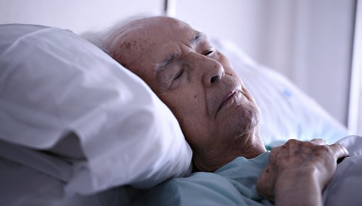 ��� ������, ���� �������, � �� ����� �� ���������: ����������� ������������ ������ ���������������