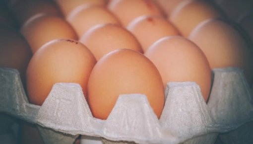 ������� ��� ����� ���� ������ ����: ����� ����������