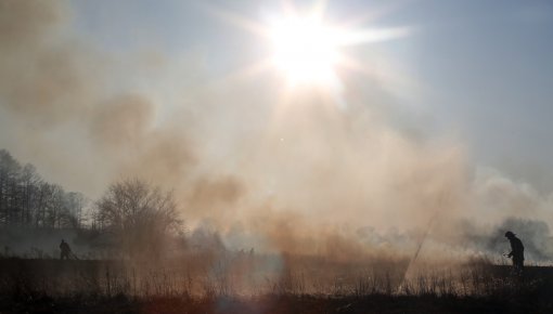 � ������ ���������������� ������ � ���� ���� ������� ��������