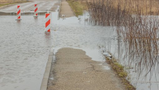 � ����������� ��������� � ��������� ��������: �������� �������� � ������� ������ � ����� �����