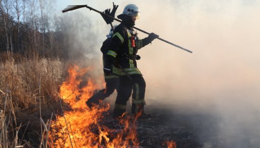 �������� � ����������� ���� ������������� ������ � ������ ������ ��������