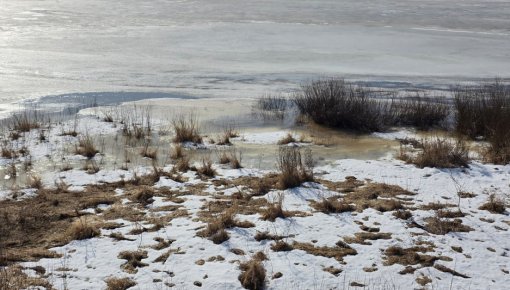 ����������� ������ �������, �������������� ��� ��� �� �������