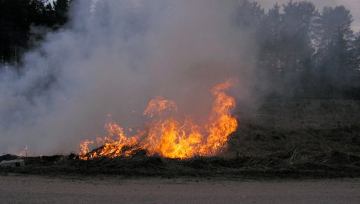 ����� ������ ������� �� ���: ��� � ������ ���� ����� ���� �����