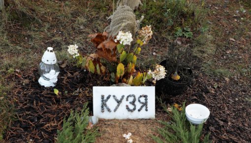 � ����������� ������������ � ������ ��� �������� �������� ��������