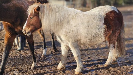 � �������� �� ������� � ���������� � ������ �������� �������� ��������