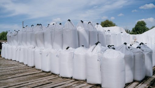 ���� �� ��������� ������: ��� ����� � ������ � ������ �� ���