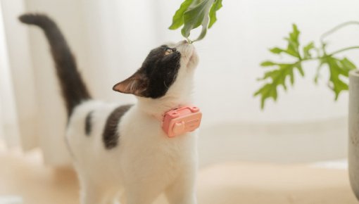 �����, � ���� �������: � ��������� ������� ���������� ��� ������� �������� �������� � ���������