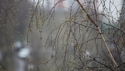 ����� � ������ ������: ��������� ���������� � ������ � ������