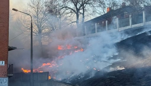 ����������� ����������� � ������: ������ ����� ������ ������ ���������� � ��������