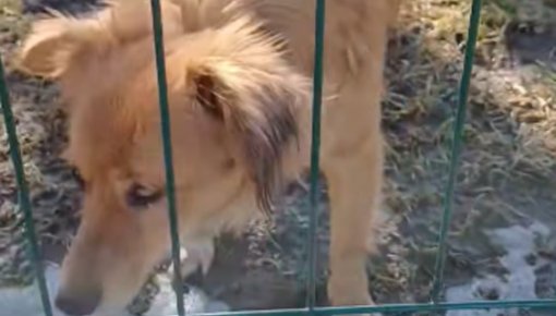 � ������ ��� �������� ���� ��� ��� ��������� ������ ����