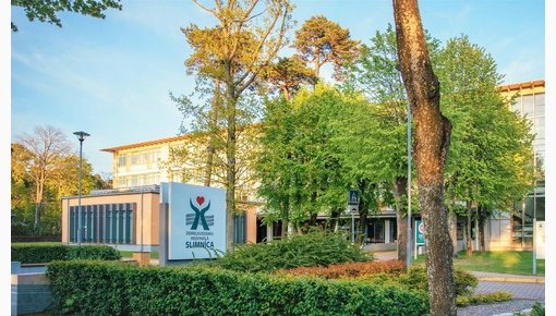 ����� �����: � ���������� ���� ������������ ��� ������ � ��������