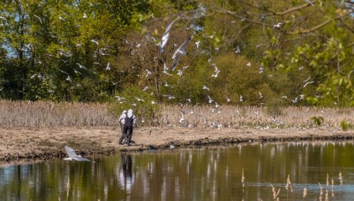 ����������: ����� �������� ������ �� ���� ��������� �� �������� � �����