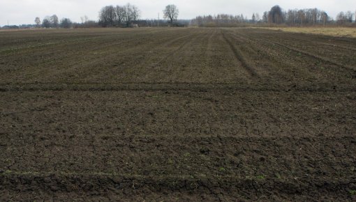 ������ ������ ������ �� �������: ������� �����������, ����� �� � ���� ���� �������� ��������