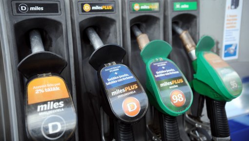 ���� ��� �� �������: � ������������� ���� �������