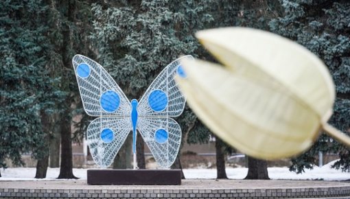 ���� ����� � �����������: ������, ������� ����� �����, ���������� ���������� � �� ������