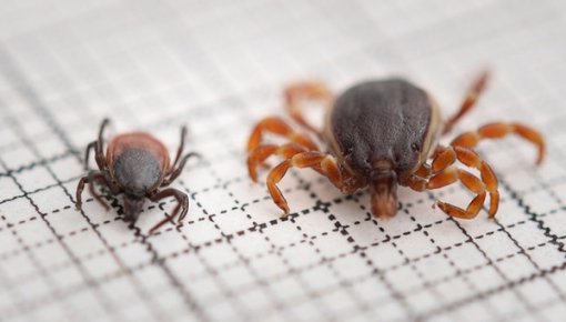 � ������ ���������� �����, � �� ��� ������ � ����������