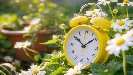 ������ ��-�� ����� �������: ������ �� ������ ��������� ������� �� ������ �����