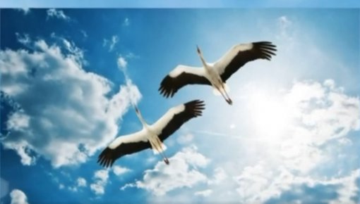 ����� ������ ������: "�� ����������"