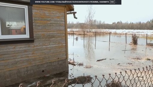 ���� ����� �� ����: � ������������ ���� ���������� �������� �� �������