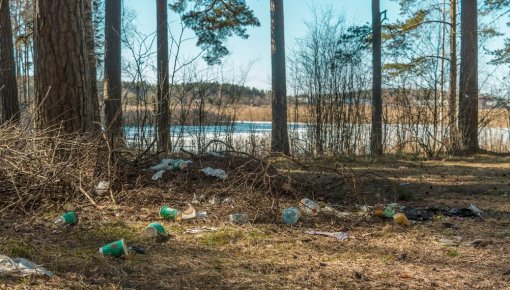 ������� ������ 2026: ������� ��������� �������� � �������