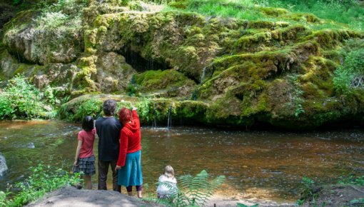 ����� �������� � �����: �� �������� � ��������� ���������� ����� ������� �����